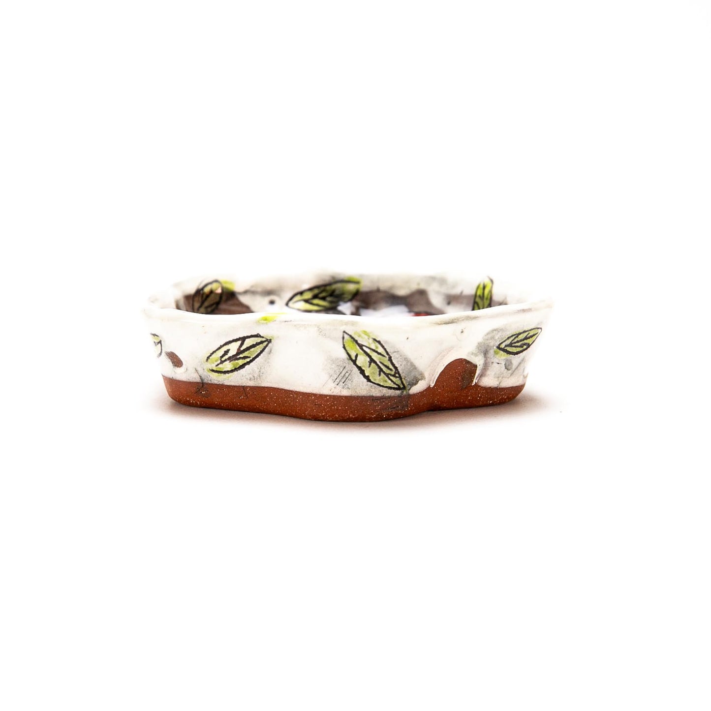 Small Dish