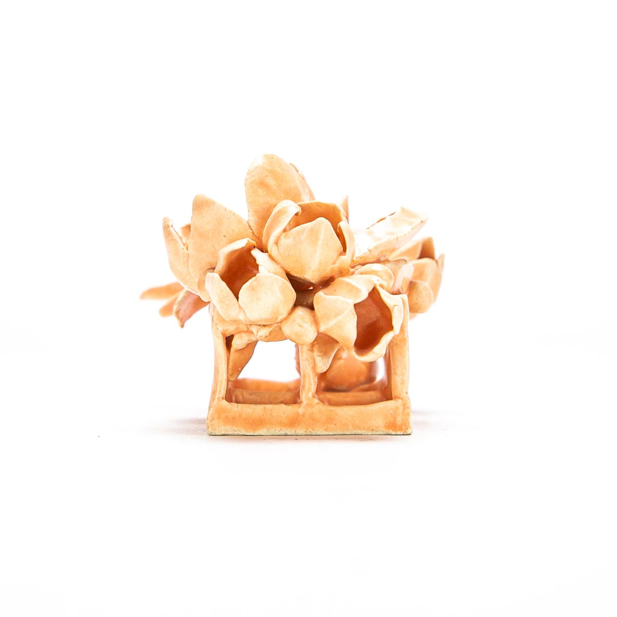 Quarantine Cutie (peach with flowers)