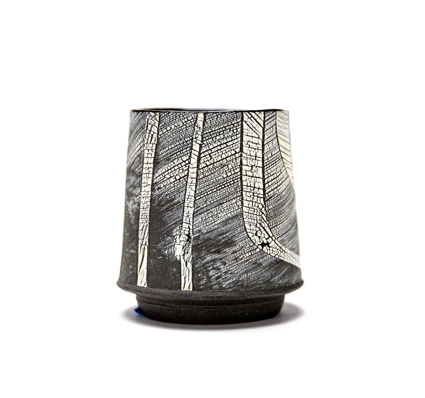 Echo Cup