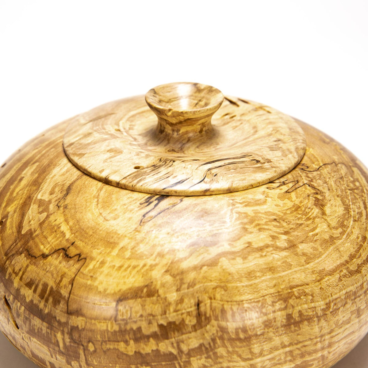 Birch Burl Pot