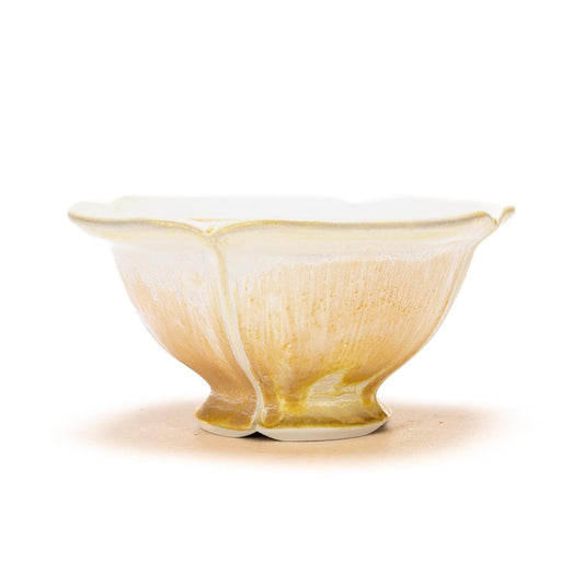 Every-day Bowl