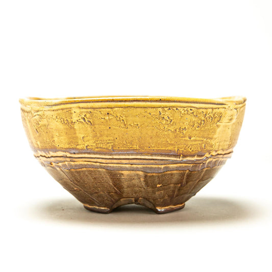Soup Bowl