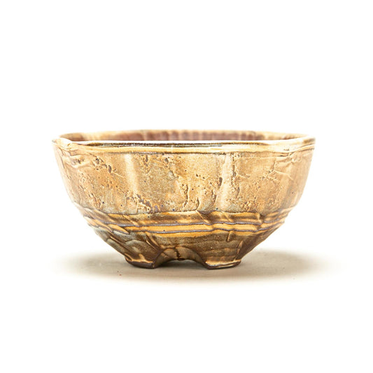Ice Cream Bowl