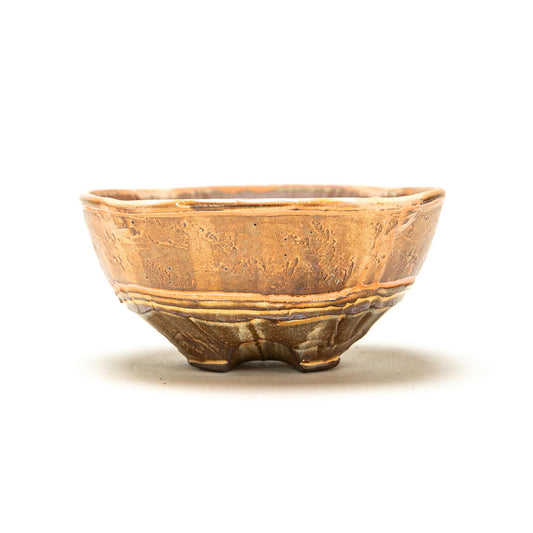 Ice Cream Bowl
